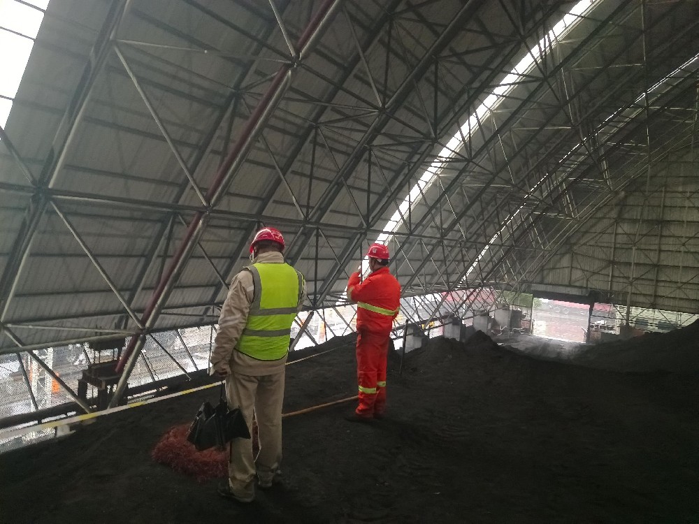 某电厂煤棚加固后鉴定